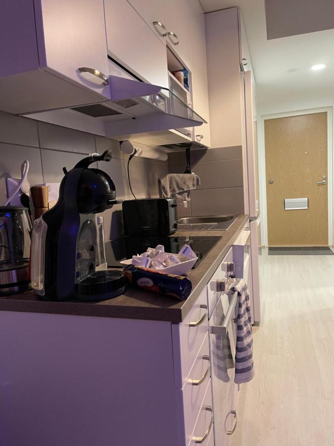 Arctic Penthouse Studio With Free Parking And High-Speed Wi-Fi Рованиеми Экстерьер фото